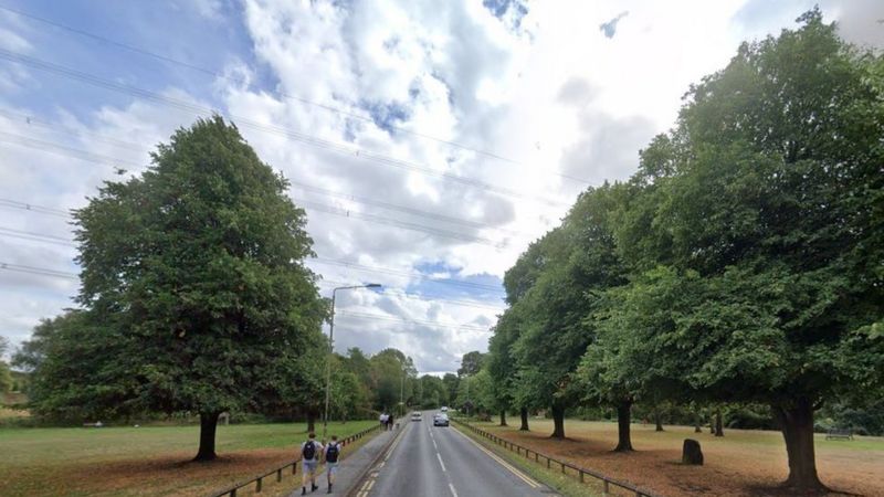 Anstey Man Arrested After Driver Flees Fatal Crash Bbc News