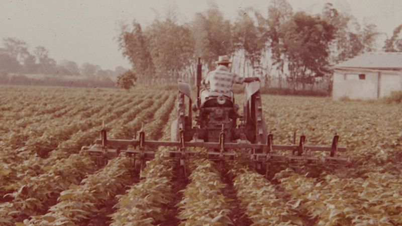 Japonés en tractor