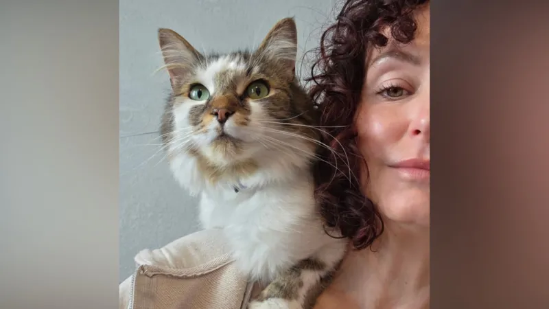 Una enfermera veterinaria lamenta la locura del delincuente felino con gafas.
