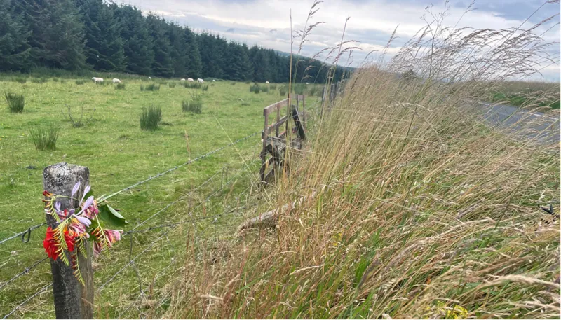 Police name three killed in Borders motorbike crash