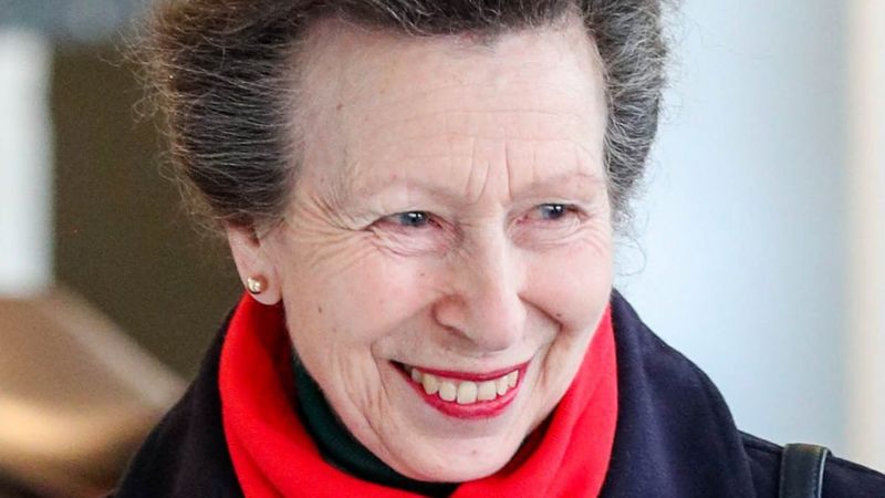 Princess Anne gets military promotion as she celebrates 70th birthday ...