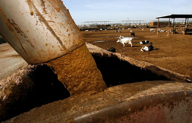 Two New York men die falling into a manure tanker