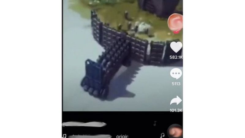 Tiktok Algorithm Promoted Anti Semitic Death Camp Meme Bbc News 