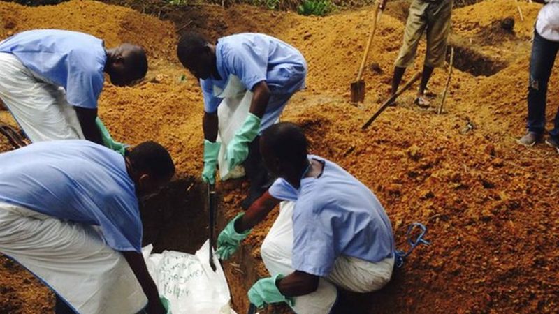 Ebola Global Response Was 'too Slow', Say Health Experts - BBC News