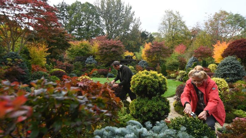 Welcome to 'Britain's best back garden' - BBC News