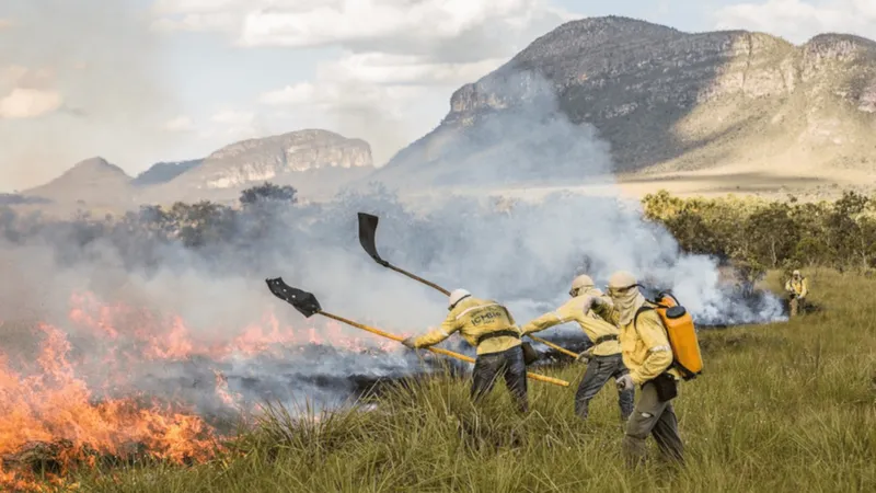 imagem da BBC Brasil