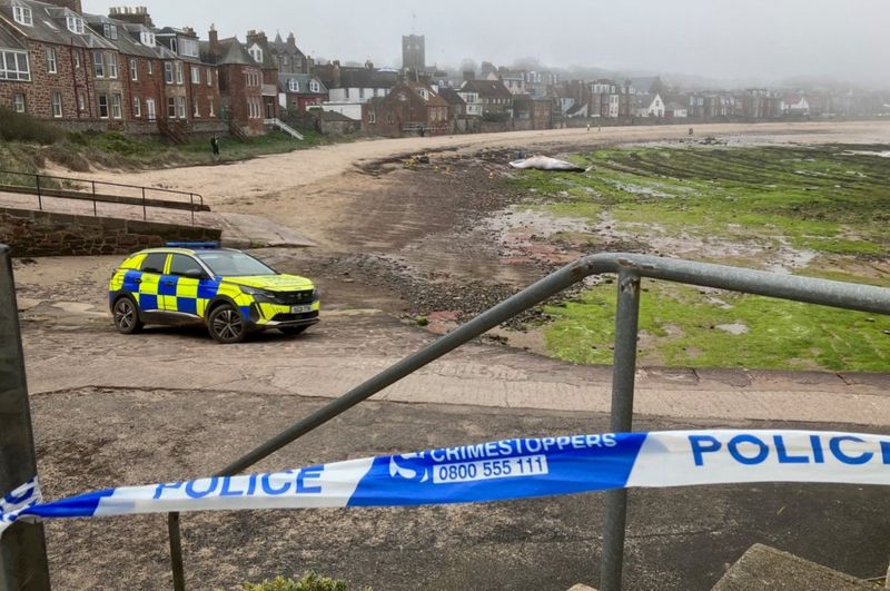 Minke whale washes up on North Berwick beach BBC News