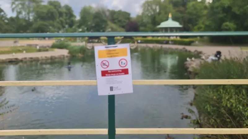 Se confirma la presencia de algas verdeazuladas en el estanque del parque.
