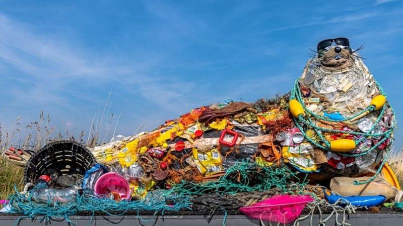 Seal sculpture made from Essex beach plastic rubbish - BBC News