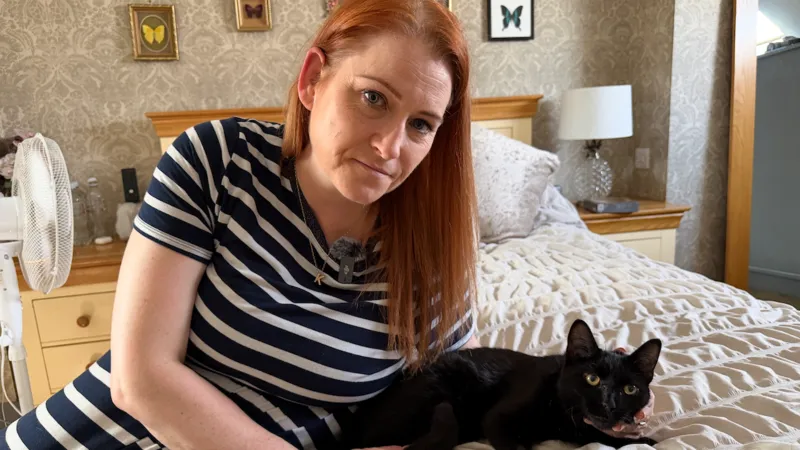 ‘Mi gatito recibió un disparo en la cara’.