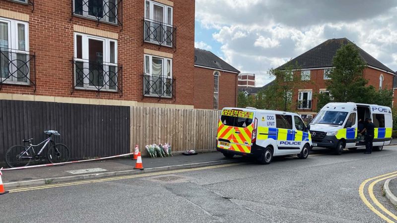 Bedford Stab Killer 'wanted To Frighten' Victim, Trial Hears - BBC News