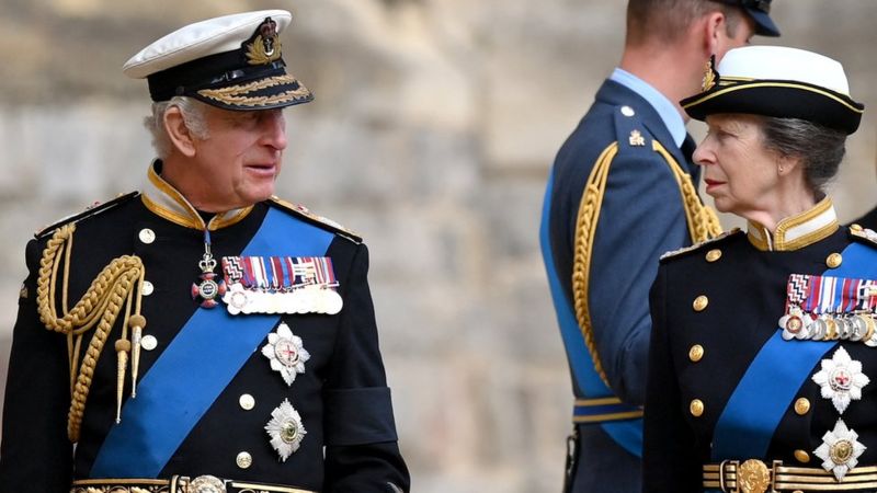 More Stand-ins For King, But Prince Andrew And Prince Harry Stay - BBC News