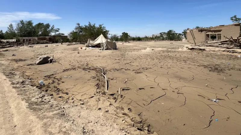 Afghanistan floods: ‘I found my family's bodies in the streets’