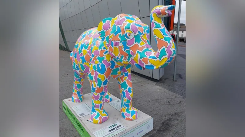 Un hombre fue acusado tras dañar la escultura de un elefante en un centro de cuidados paliativos. Un hombre fue acusado tras dañar la escultura de un elefante en un centro de cuidados paliativos.
