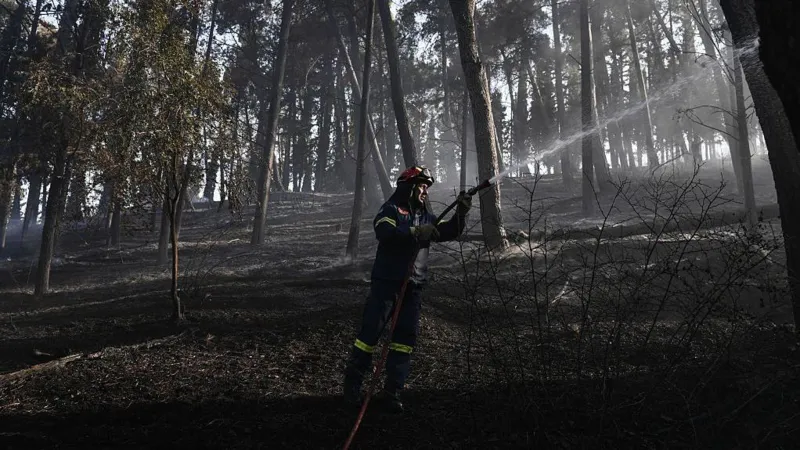 Los bomberos luchan por contener el mortal incendio forestal en Grecia. Los bomberos luchan por contener el mortal incendio forestal en Grecia.
