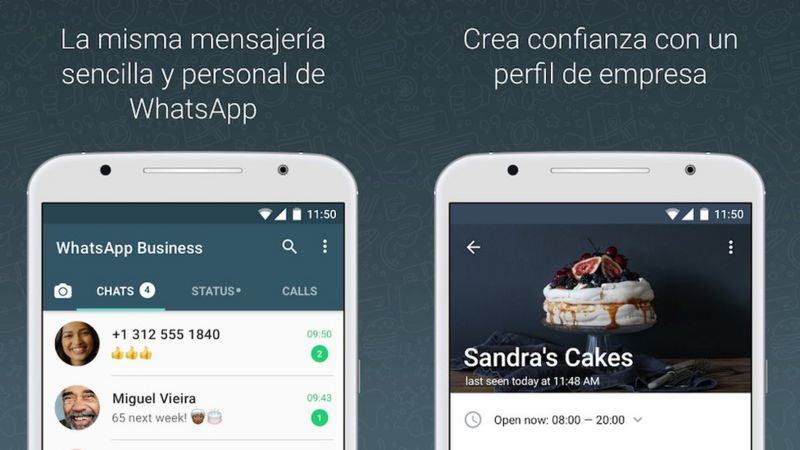 Whatsapp Business