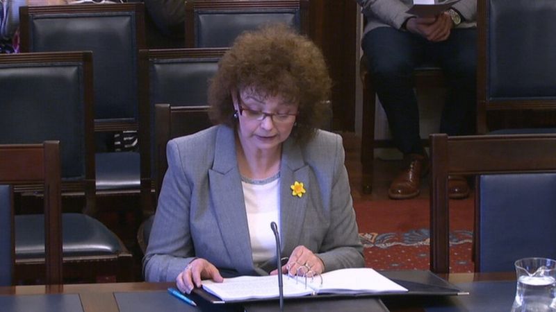 Casement Park Minister Carál Ní Chuilín Walks Out Stormont Committee Bbc News