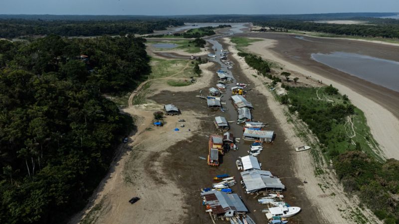 Amazon Drought: Stranded Boats And Dead Fish - BBC News