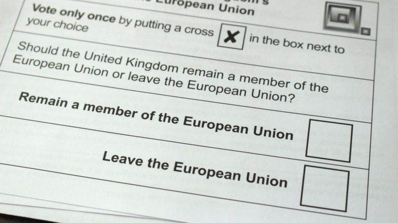 Eu Referendum How To Vote On Polling Day Bbc News