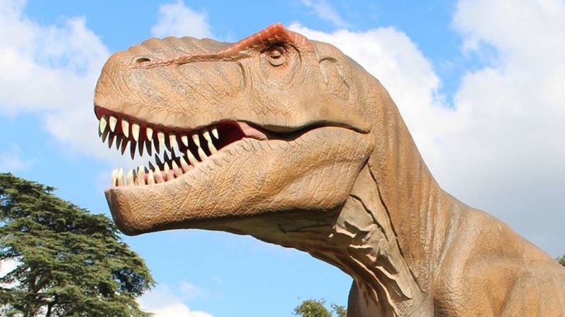 Life-size dinosaurs take over Cardiff's Bute Park - BBC News