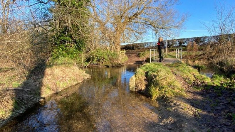 Kennet And Pang Eels Survey Highlights River Barriers - Bbc News