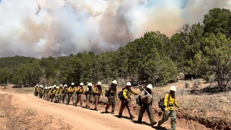 Tres bomberos mueren combatiendo enormes incendios forestales en la frontera entre Colorado y Utah.