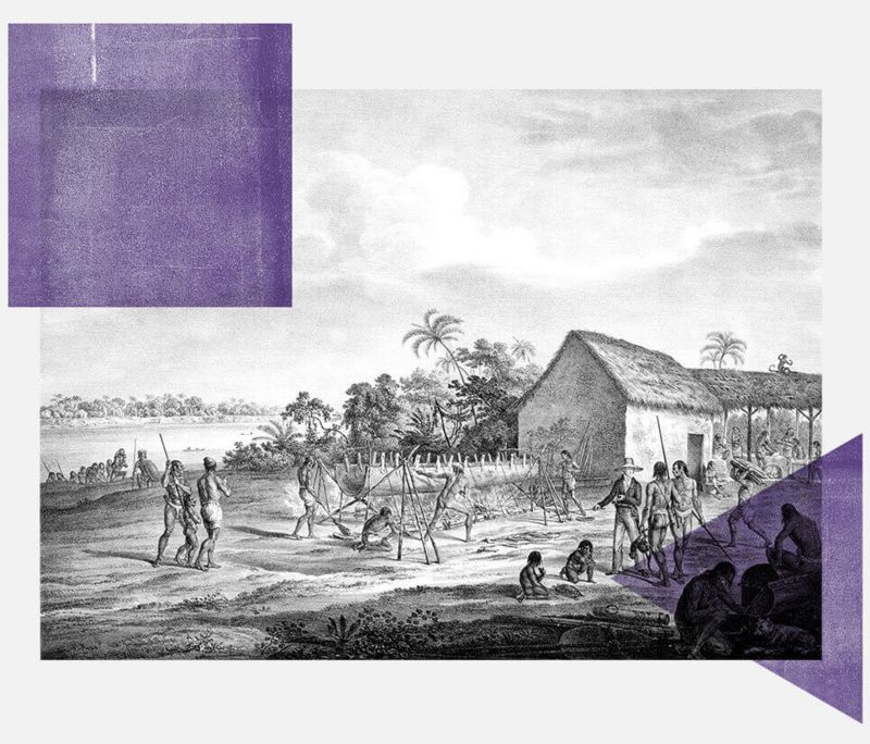 La ilustración de los alemanes Spix y Martius muestra una aldea en la orilla del río Japura en el siglo XIX.