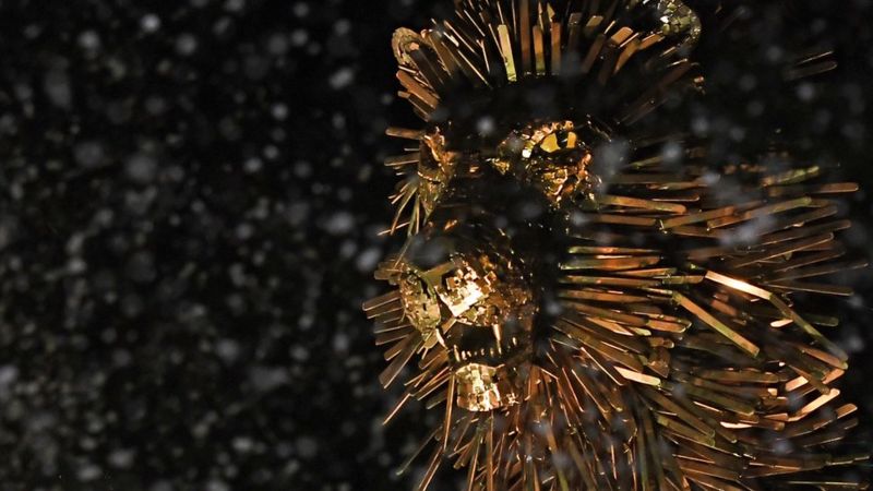 White witch members profile