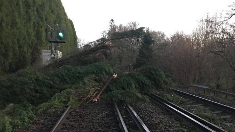 Storm Ciara: Man Dies After Tree Falls On Car During Gales - BBC News