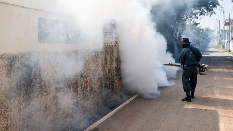 Qu Es La Fiebre De Oropouche La Enfermedad Parecida Al Zika Que Amenaza Con Propagarse Por