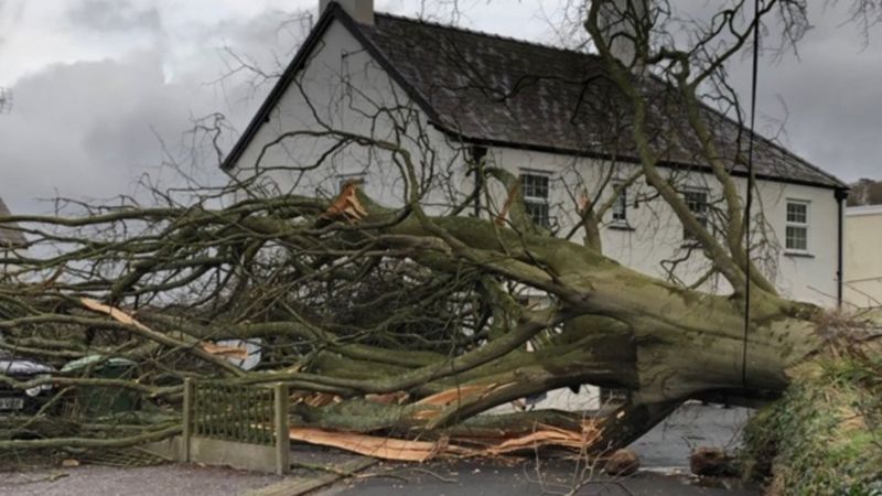 Storm Brendan Cuts Power To Homes And Affects Travel - BBC News