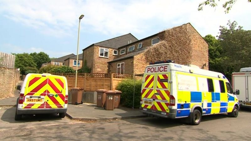 Man arrested over Andover murder and sexual assault - BBC News