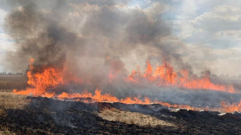 Ongar Field Fire Destroys 20 Acres Of Stubble - Bbc News