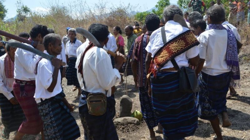 Ritual adat Gren Tana warga Tua Bao.