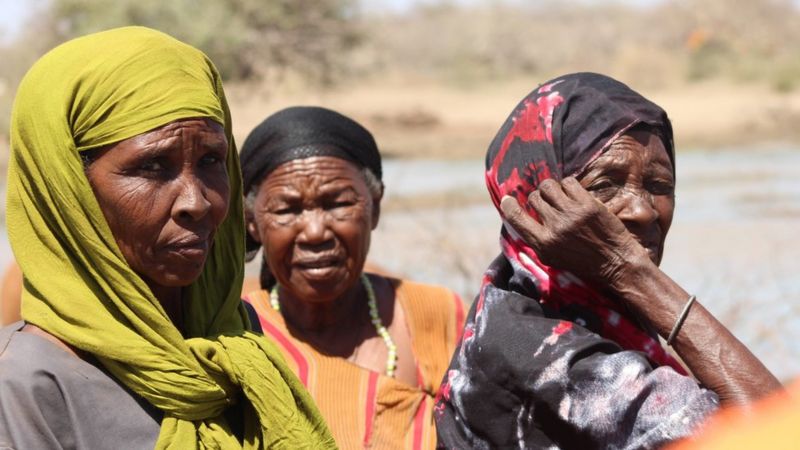 In pictures: Kenyans share their dinner to save livestock - BBC News