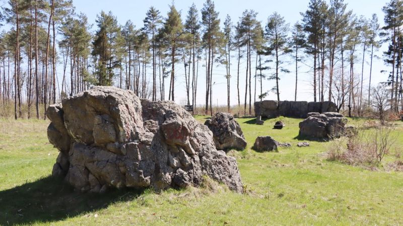 Ставка вервольф в виннице фото