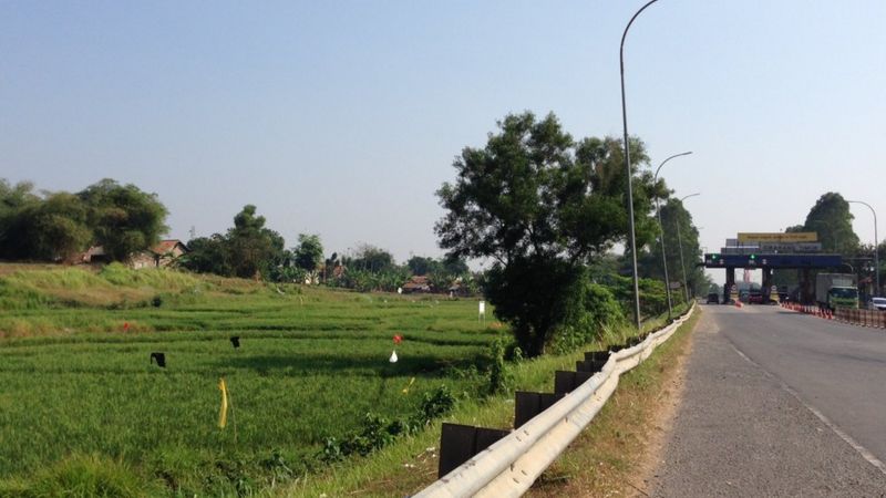 Sawah Beralih Jadi Perumahan Atau Industri Mengancam Ketahanan Pangan ...