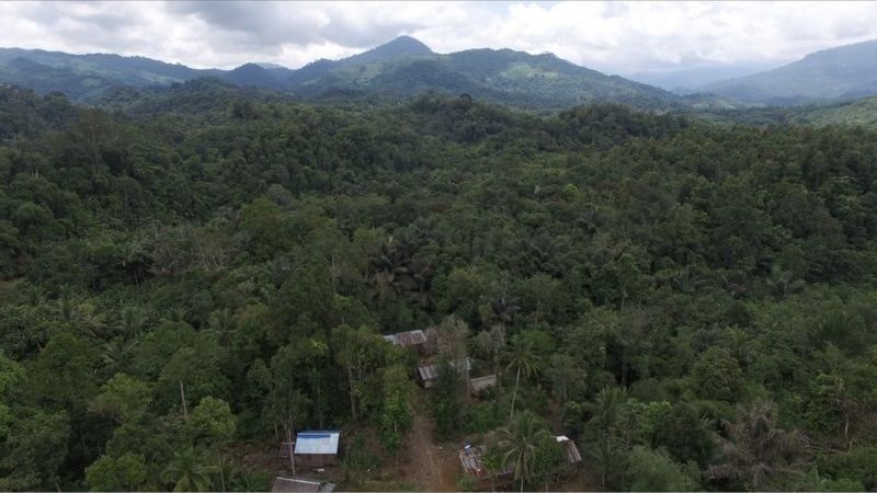 Banjir Kalsel: Warga Dayak Meratus 'paling Terdampak', Desa Yang ...