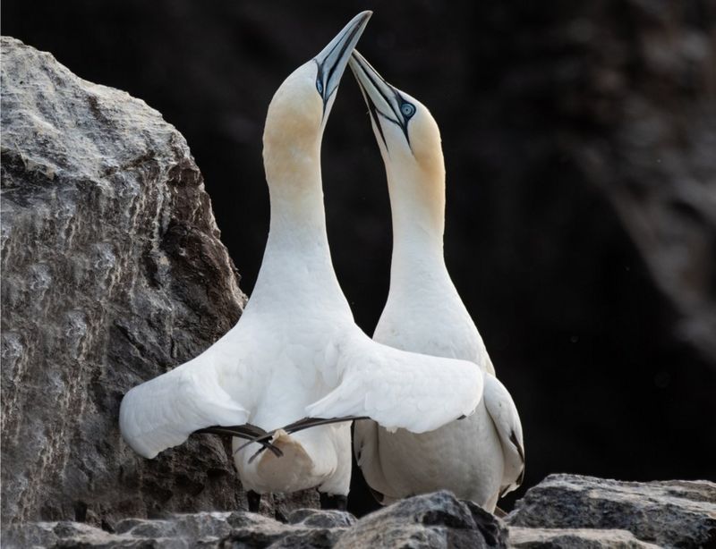 Your pictures of Scotland: 20 - 27 January - BBC News