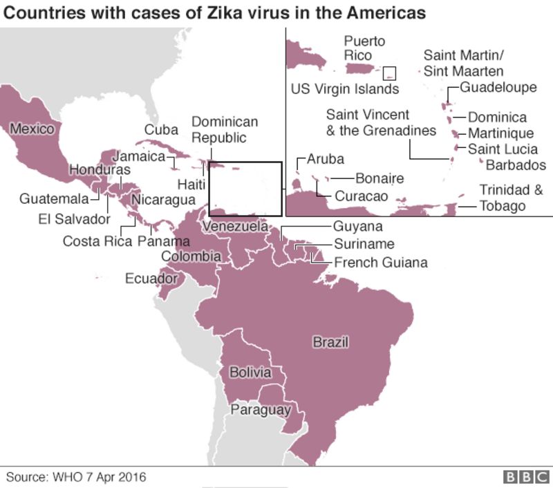 Zika Virus Scarier Than Thought Says Us Bbc News 