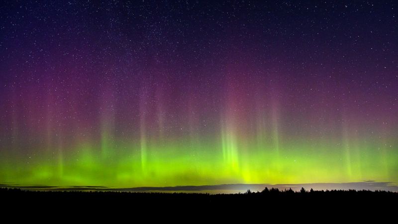 Your pictures of Scotland: 4 - 11 March - BBC News