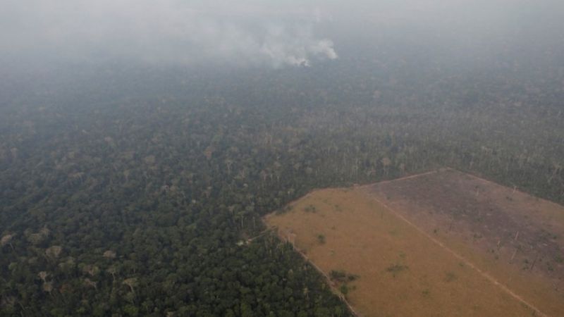 Incendios En El Amazonas: ¿qué Pasó Con Las Llamas Que Arrasaban Las ...