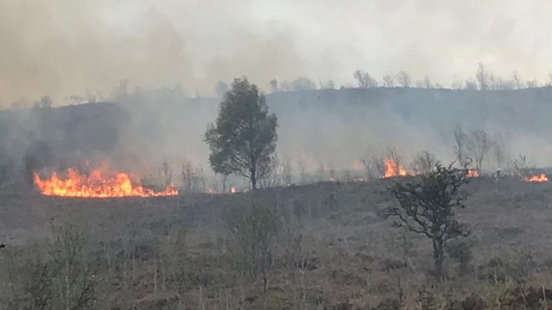 Corwen: Fire crews and helicopter tackle forest blaze - BBC News