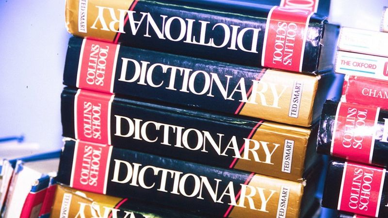 Binge-watch Is Collins' Dictionary's Word Of The Year - BBC News