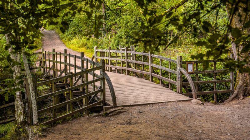 Winnie The Pooh: Poohsticks Bridge Up For Sale - BBC Newsround