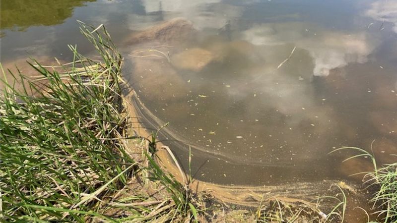 Water pollution: 'We’ve lost it, the River Wye looks so ill' - BBC News