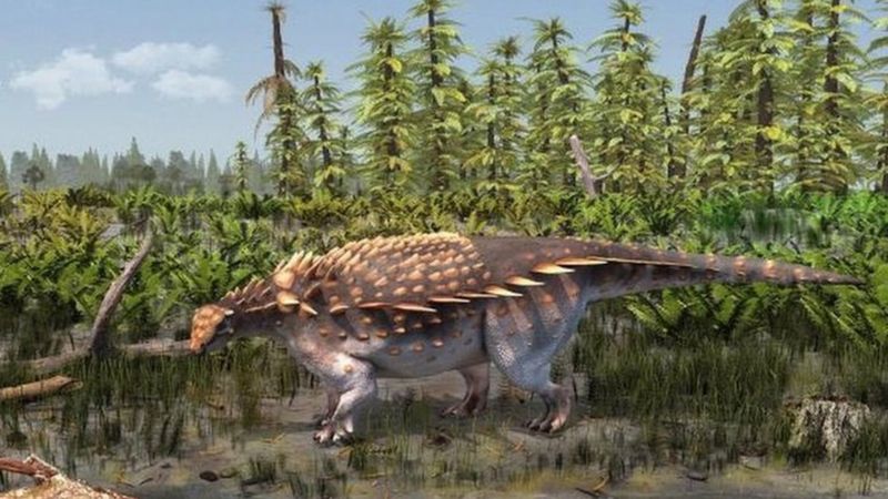 Vectidromeus insularis: New plant-eating dinosaur species found on Isle ...