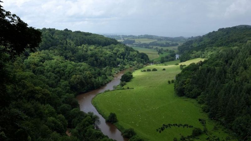 River Wye S Health Downgraded Amid Wildlife Decline BBC News    129933815 Riverywye 