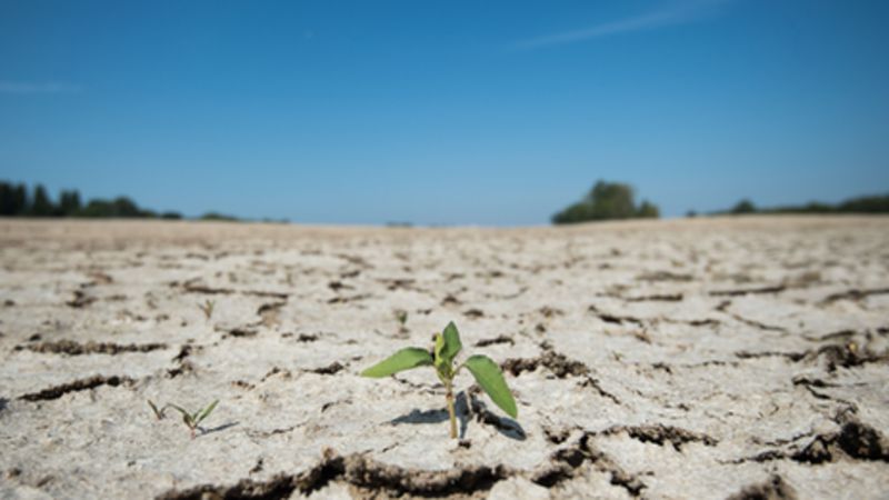 How Africa will be affected by climate change - BBC News