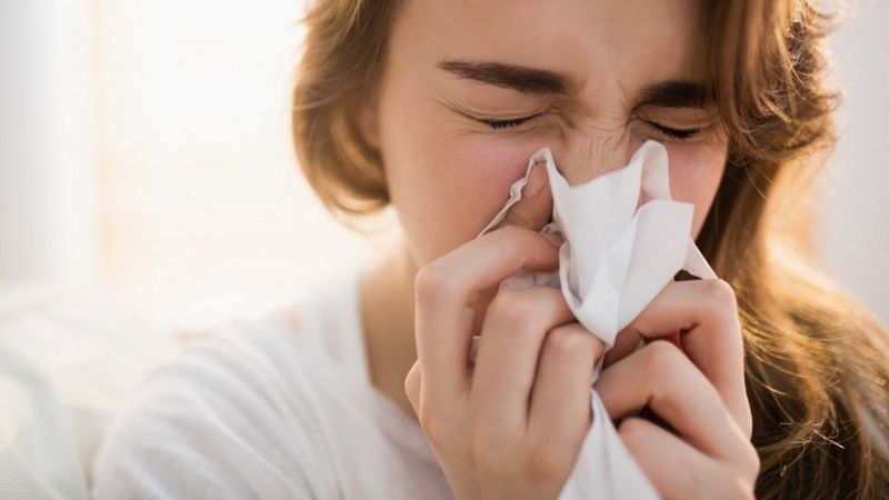 Koliko je efikasna borba protiv najvećeg alergena u Srbiji?